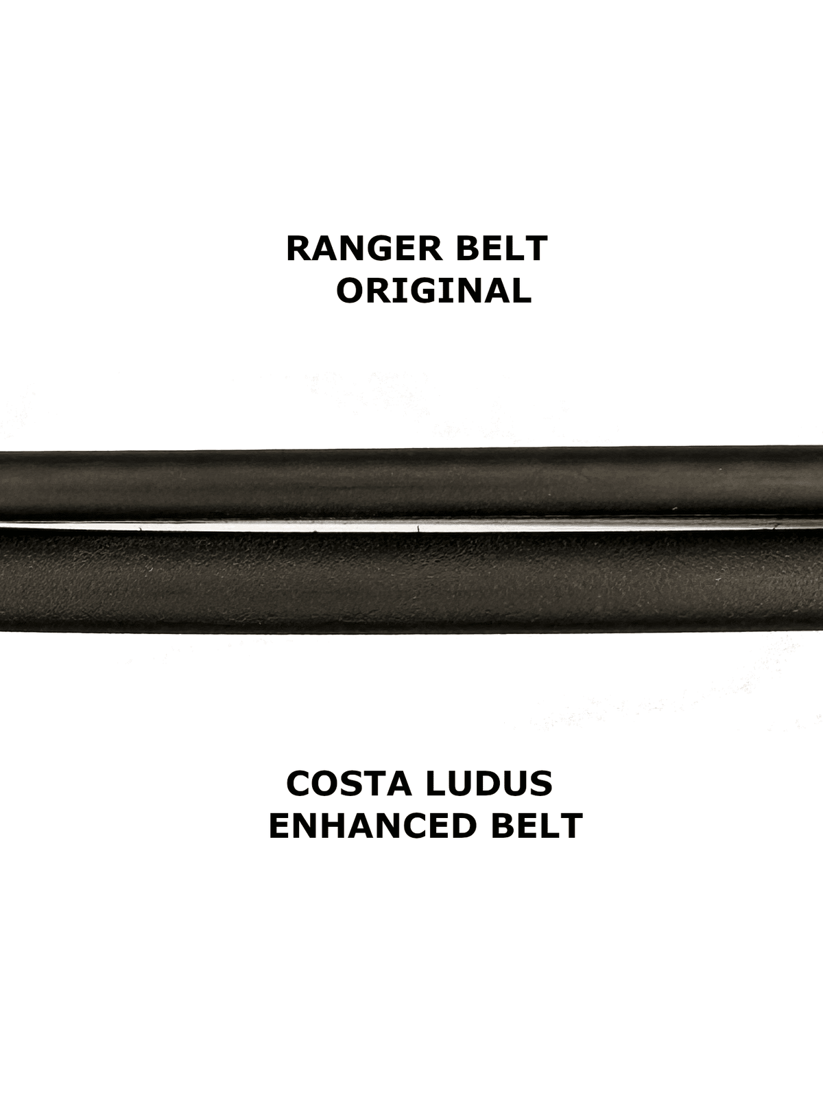 ranger enhanced gun belt costa ludus - 2
